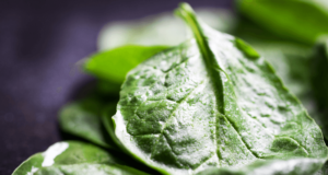 Spinach leaf - Best Food to Eat for fat loss spinach