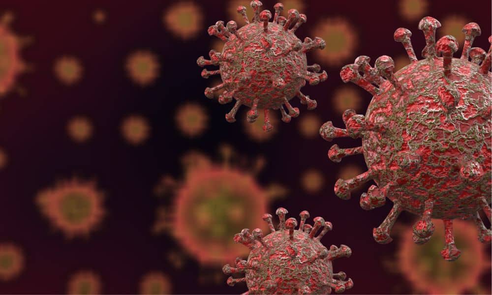 Coronavirus - How the Virus Impacted Society in the USA