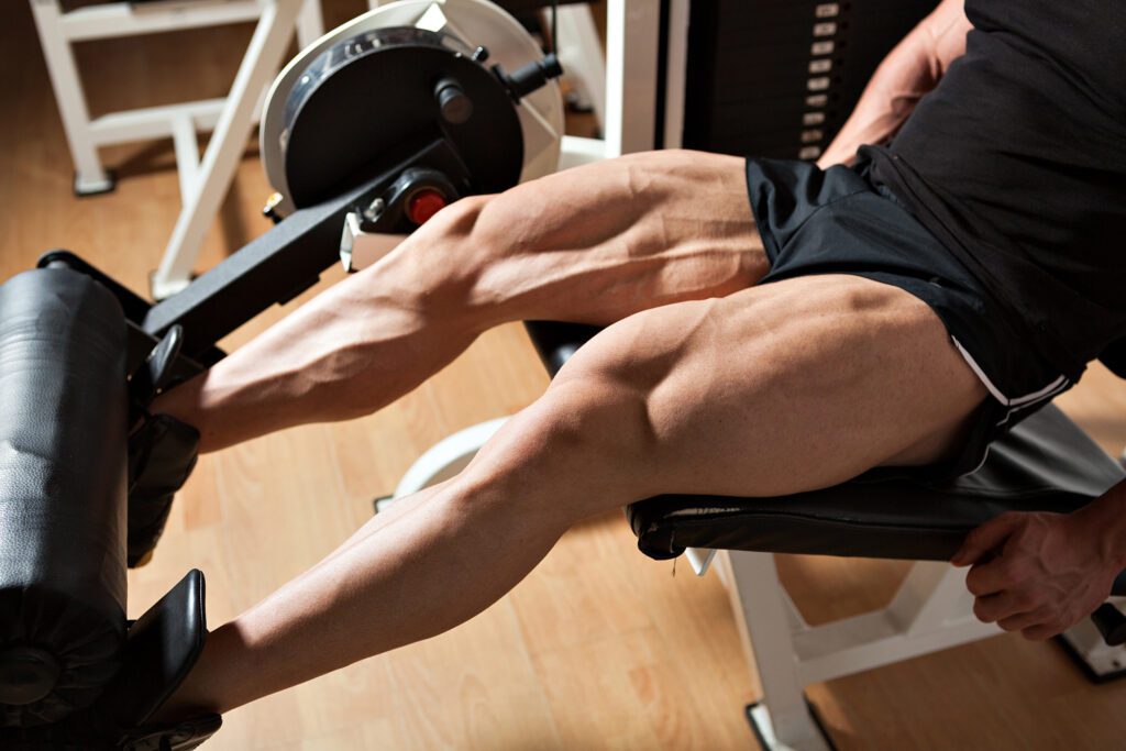 leg extension muscular leg gym. powerful physique train legs