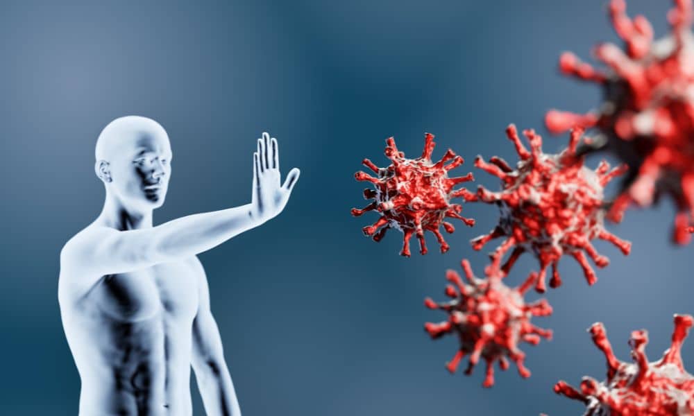 Immune System – What Is It and How Does It Protect