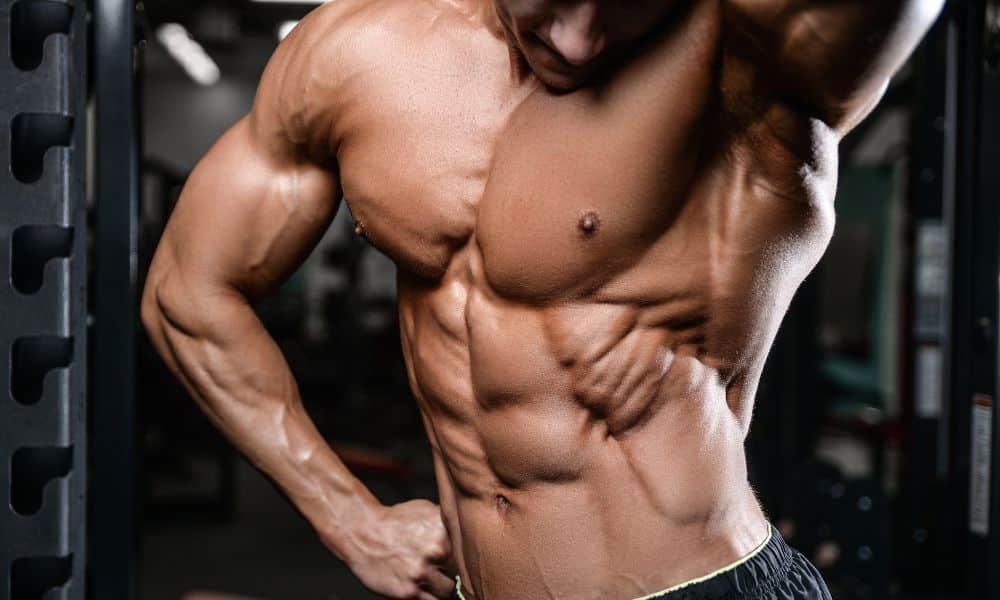 Workout Program - 3 Training Approaches for Muscle Gains