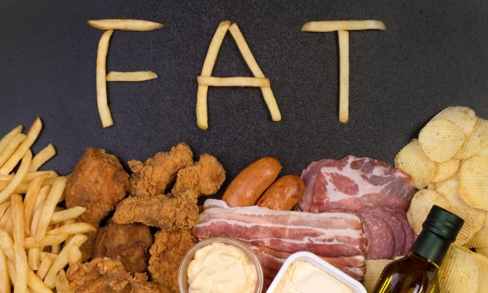 Fat Foods - 3 Top Ways It Affects Health and Fitness