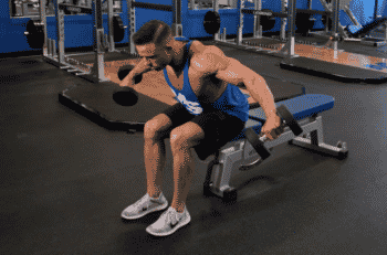 Dumbbell Reverse Fly &#8211;  Build a Muscular Back