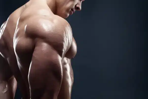 man bodybuilder shoulder back muscular