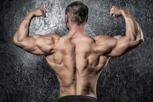 muscular back lats, traps, shoulders, biceps bodybuilder pose