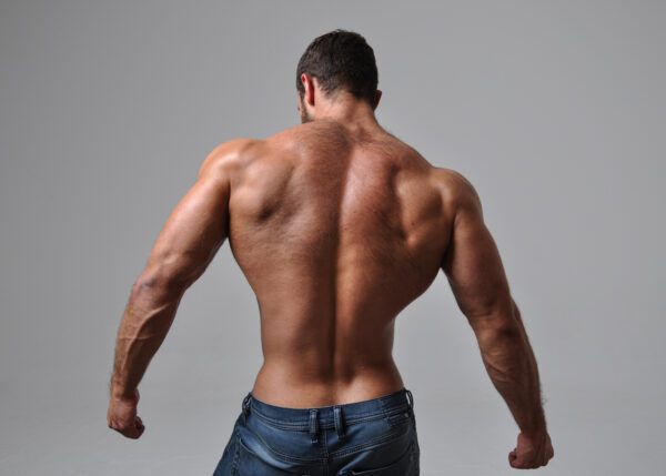 man muscular back natural bodybuilder