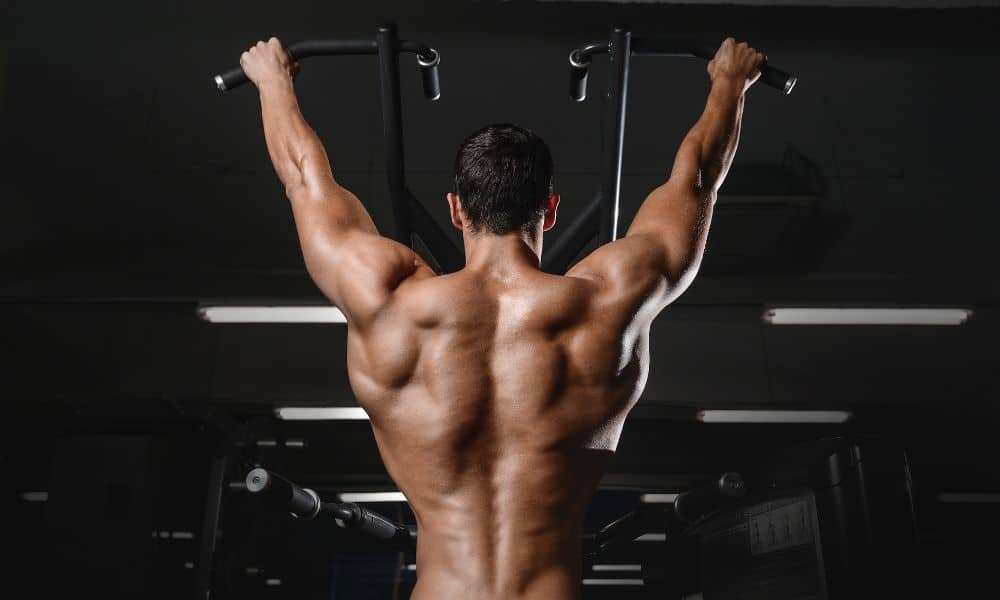 A List of the 5 Best Exercises for the Back Muscles