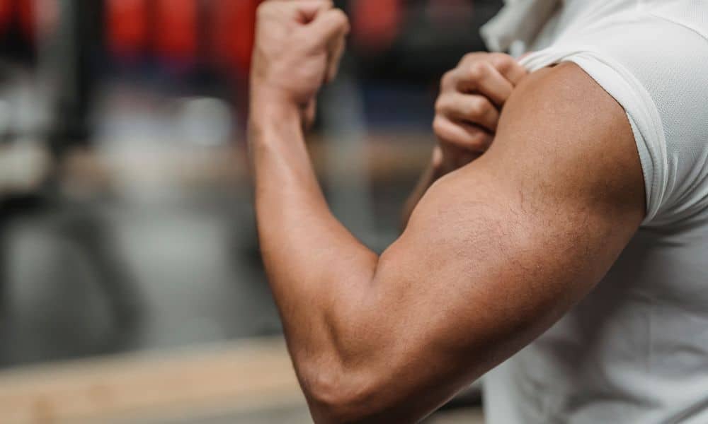 Biceps vs. Triceps – The Muscles Differ and What It Means
