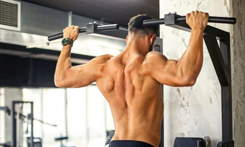 Workout Program - How to Build a More Powerful Muscular Back