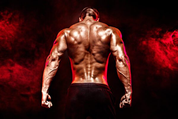 muscular man back muscles bodybuilder pose shutterstock_507818071
