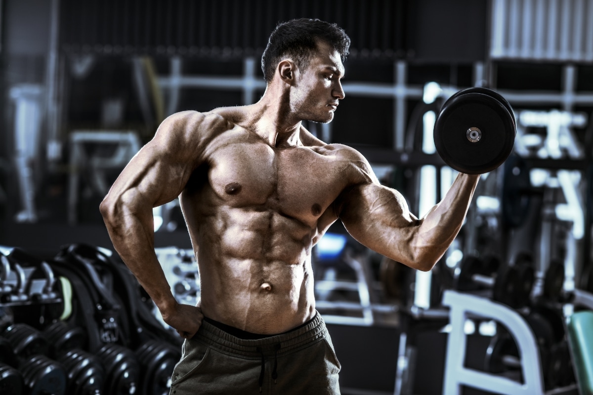 Become a Bodybuilder - How to Train a Comprehensive Guide
