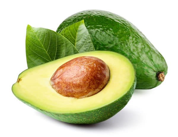 top 5 food that burns belly fat avocado