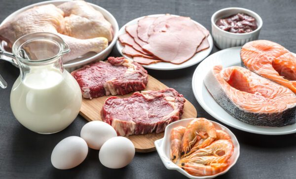 meat, fish, shrimp, eggs, milk protein fat shutterstock_247893733