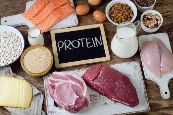 protein meat nuts milk fish seeds eggs shutterstock_721319773