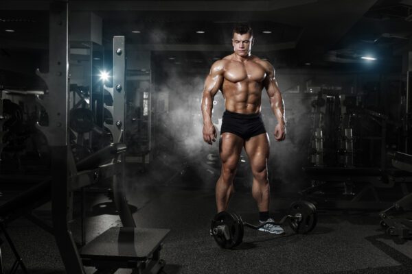 muscular man curl bar gym chest abs arms legs shutterstock_269153789