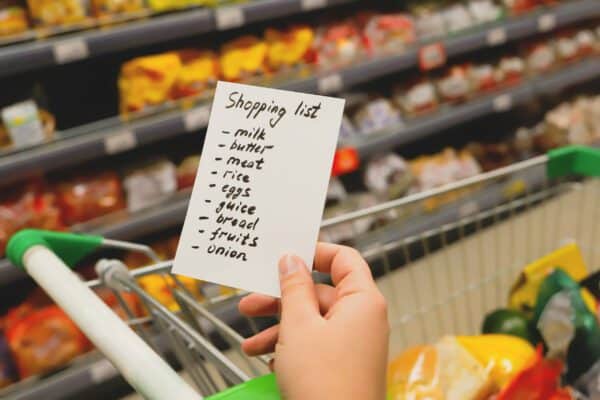 Woman, Notebook, Grocery, Shopping List Healthy Diet