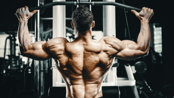 Muscular Defined Back – The 4 Best Exercises
