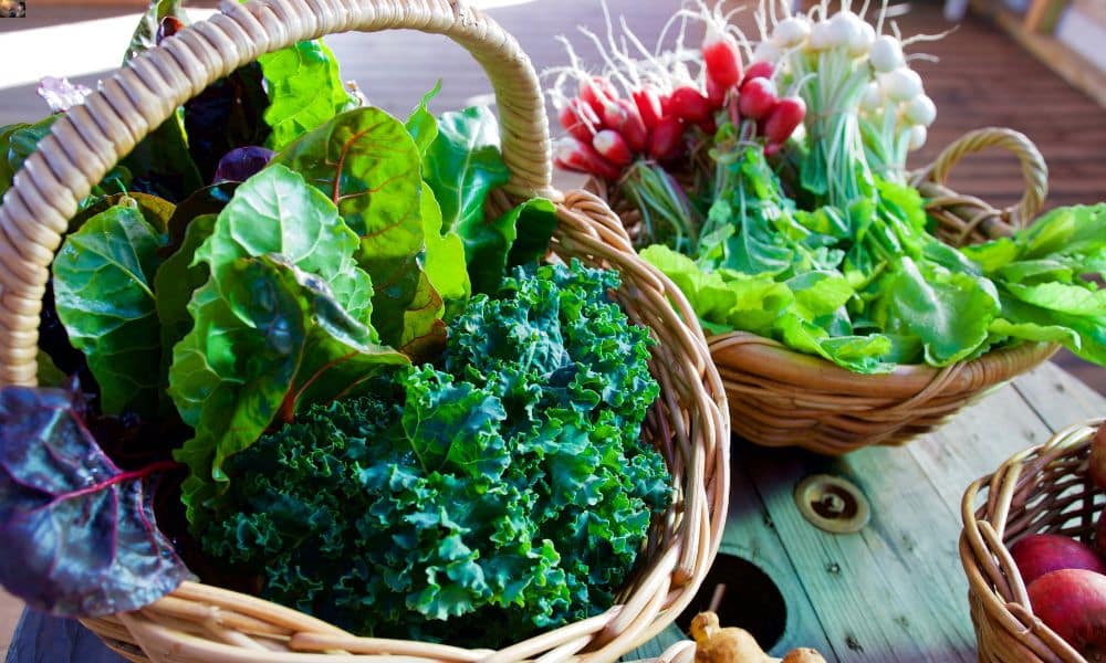 Green Leafy Vegetables – Stay Healthy With Them