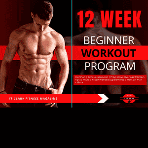 12 week workout program