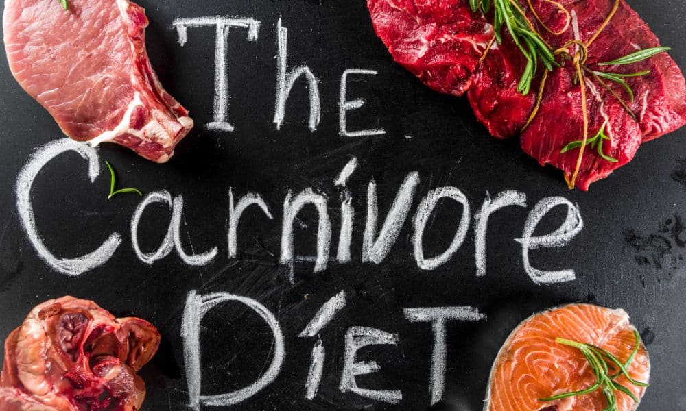 Carnivore Diet - How to Use Protein to Reach Health Goals