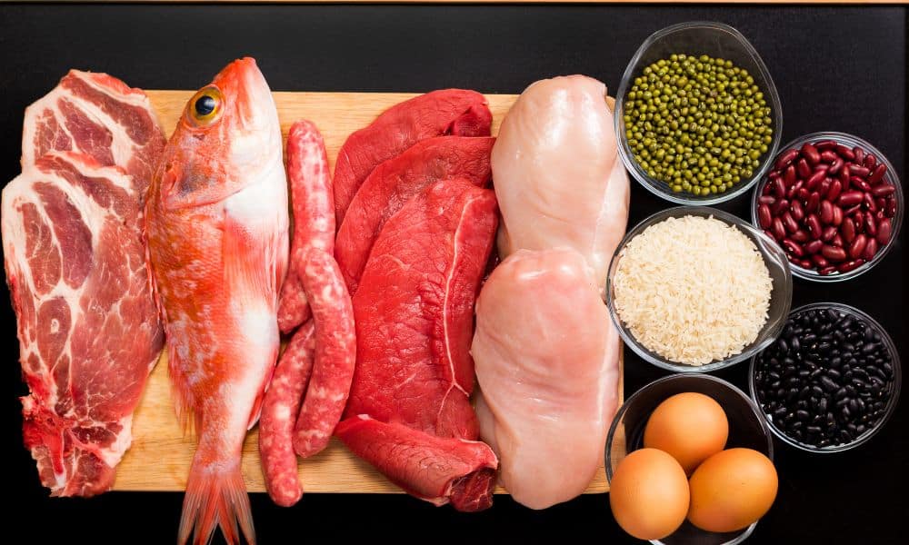 High-Protein Foods What Role Should They Play with a Diet