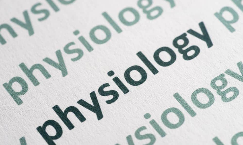 Physiology - What Role Does It Play with Health and Fitness