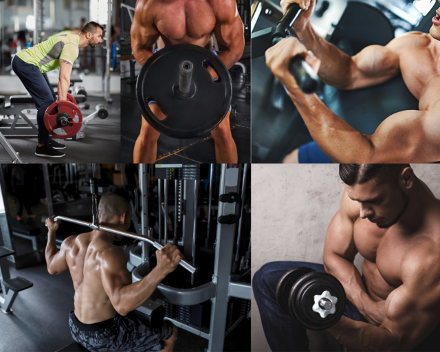 Back and Bicep Workouts - How to Get the Best Results