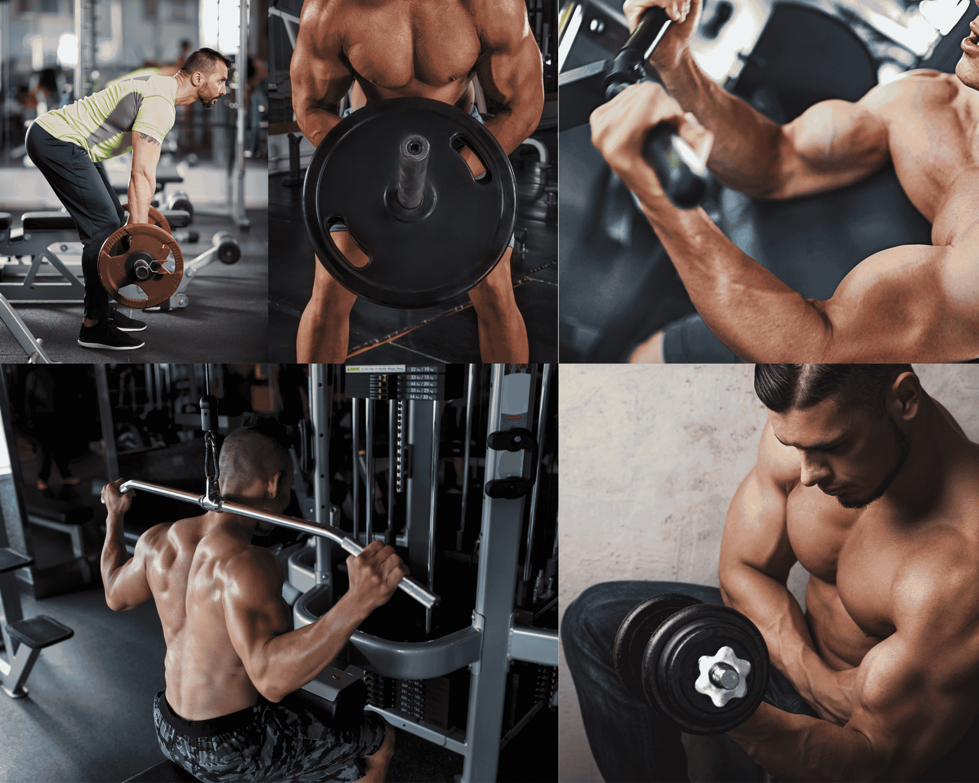 Bodybuilder – Answers to Questions About Bodybuilding