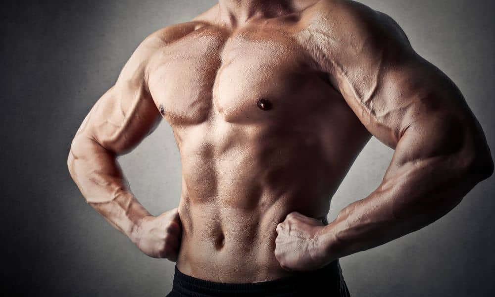 Lean Muscle - 10 of the Best Tips to Gain More Muscle Mass