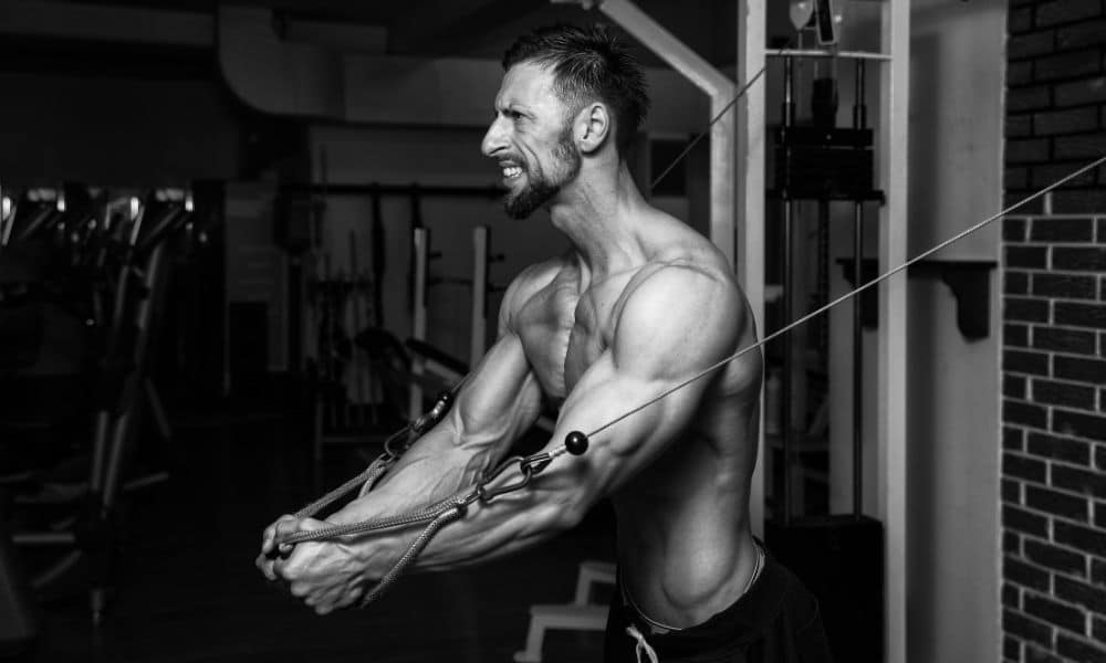 Back Muscles - A List of the Top 5 Cable Workouts