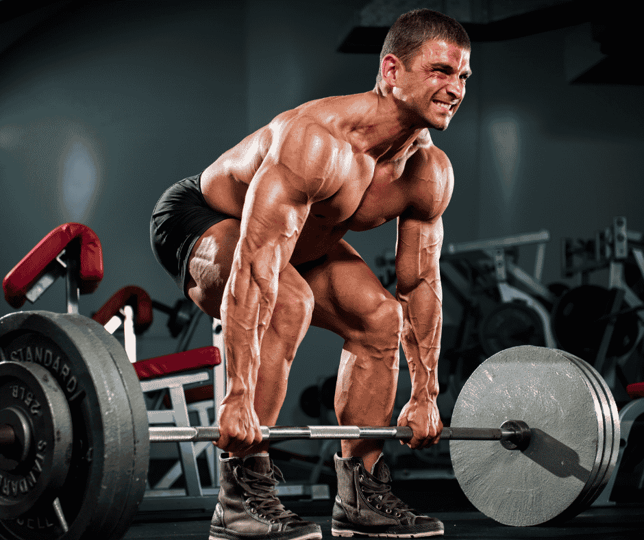 What Is the Best Workout Program to Gain More Muscle Mass?