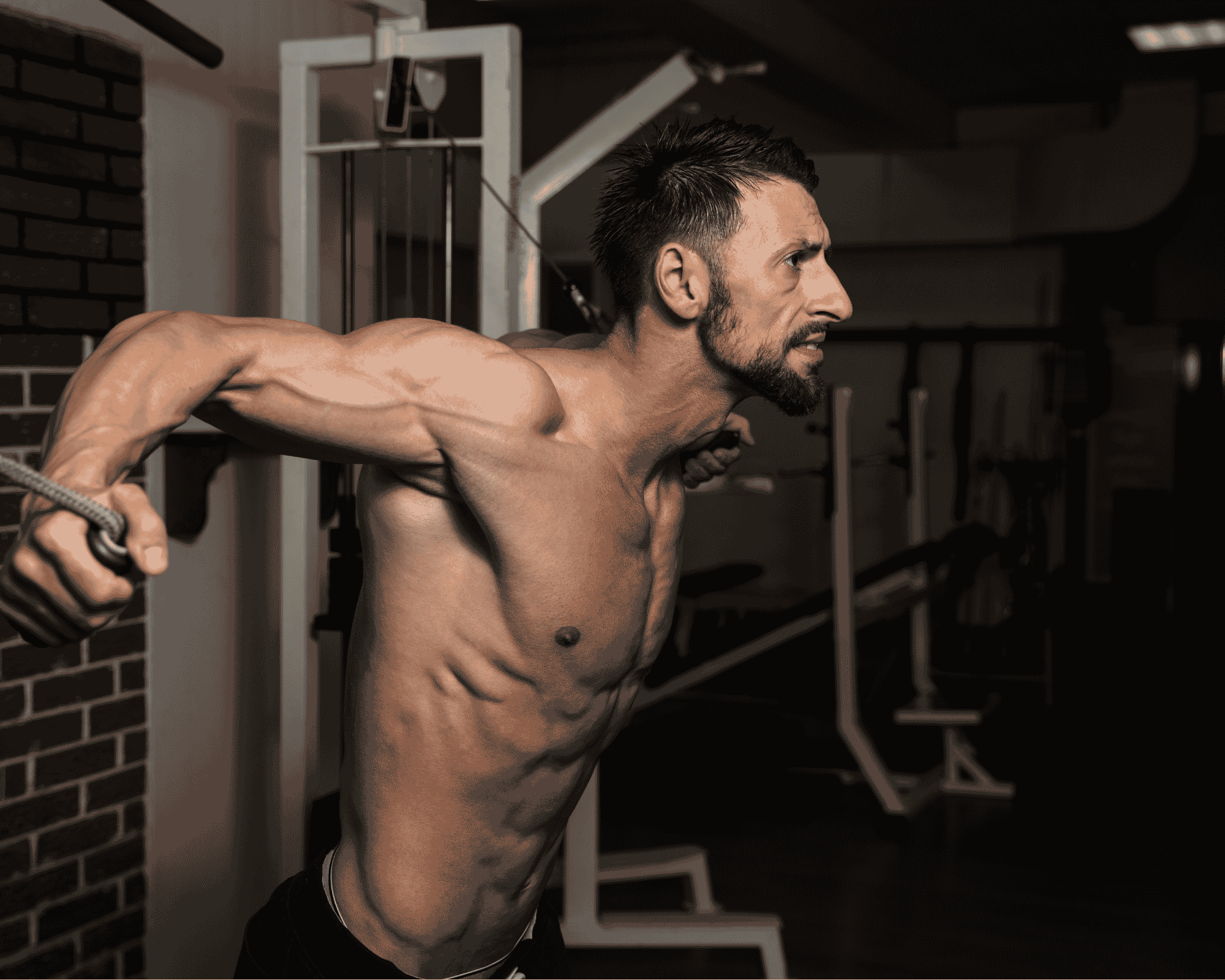 The best Exercises for a chest workout