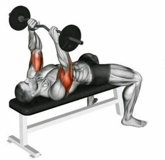 ez-bar-skull-crusher-exercise weightlifting