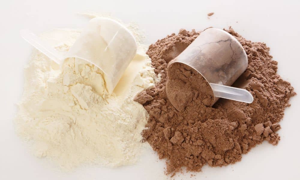 Protein Powder - How does It build muscle mass faster