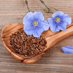 7 Herbs for Health Benefits 