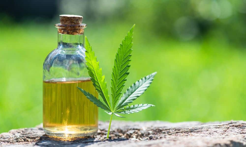 5 Factors to Look for in a High-Quality CBD Oil