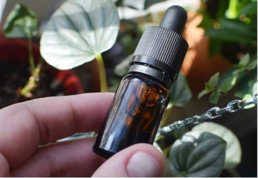 5 Factors to Look for in a High-Quality CBD Oil.