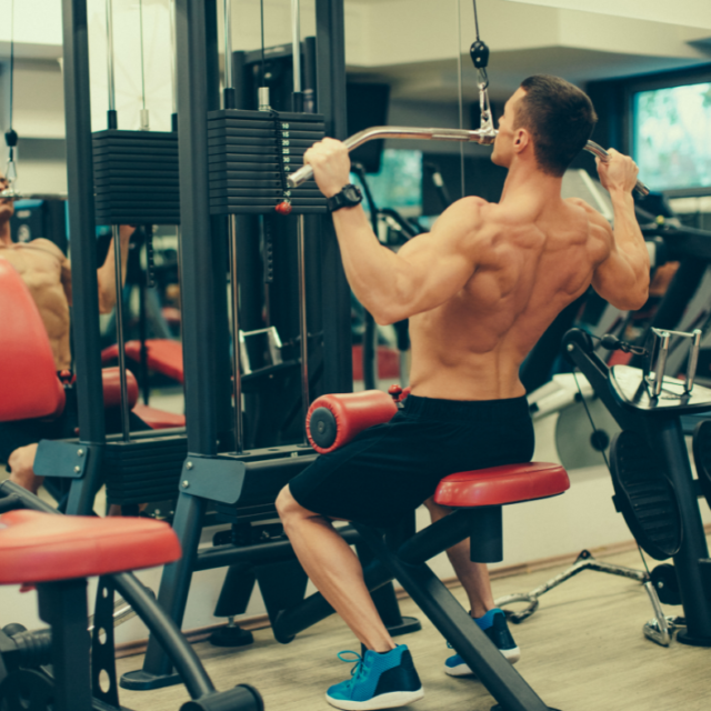 What You Need to Know for a Bodybuilding Back Workout