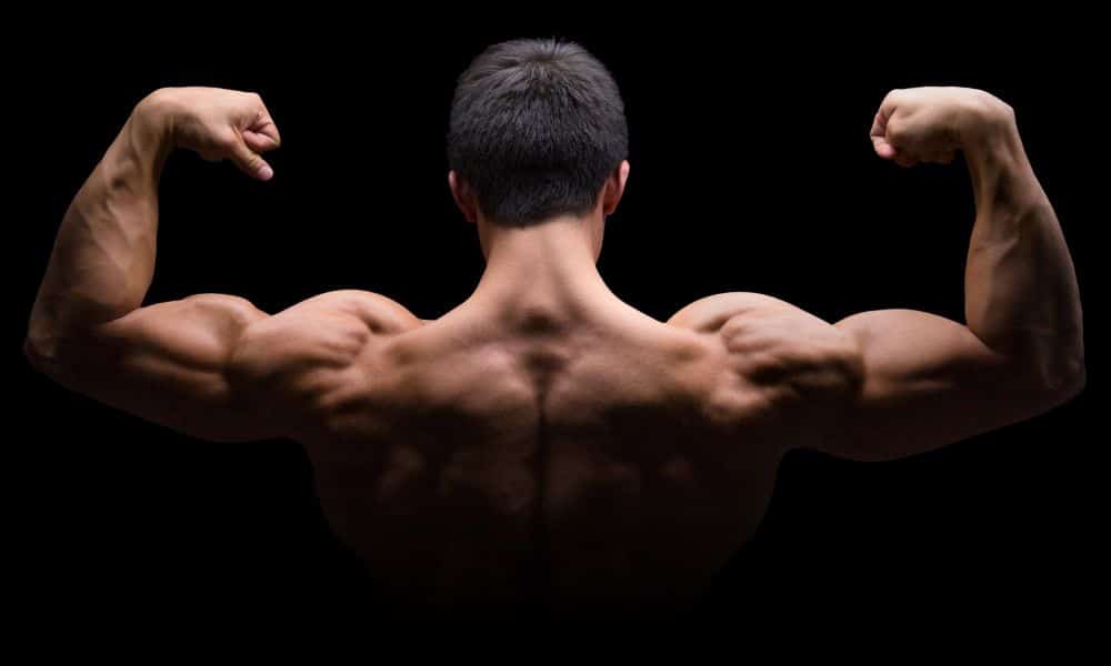 What You Need to Know for a Bodybuilding Back Workout