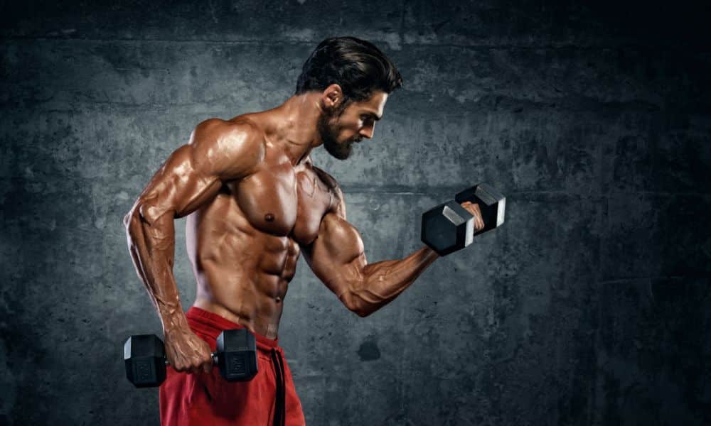 A Thin Person's Guide to Instantly Building Massive Muscles
