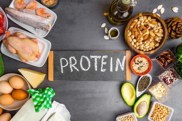 How to Get the Most Bulk with Your Protein-Based Diet