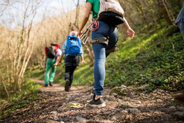 The 8 Best Top Tips You Can Use for a Successful Hike