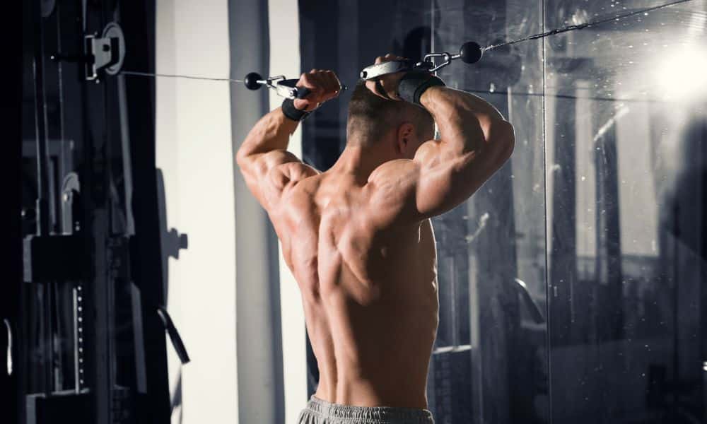 The Science of Muscle Building that You Need to Master