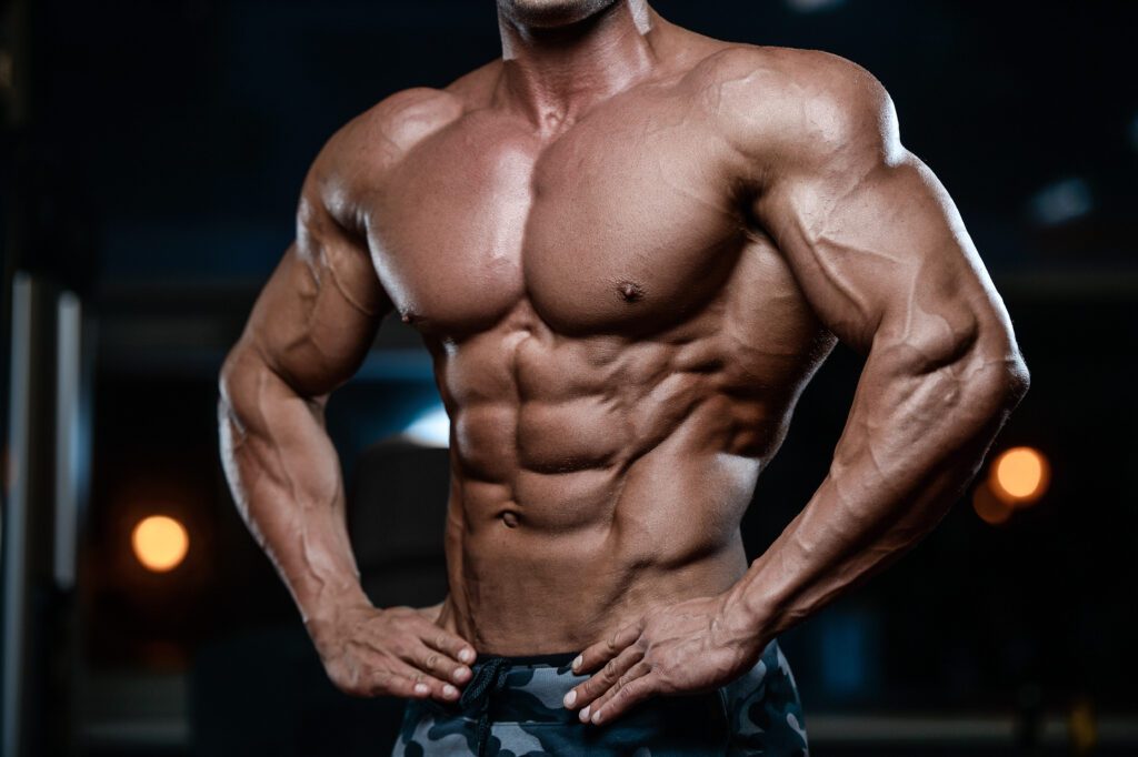 muscles man chest six-pack bodybuilder