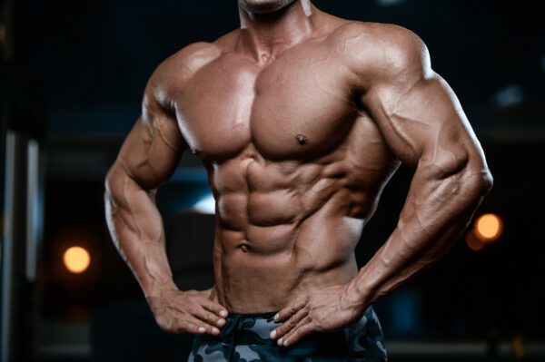 muscles man chest six-pack bodybuilder. muscle mass workout program