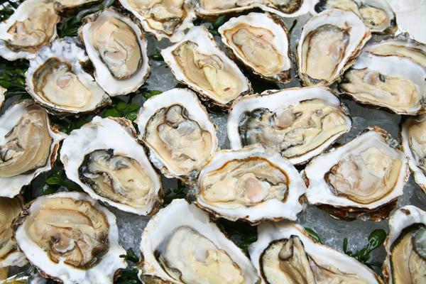 Eat Oysters for Zinc. Steps Build Muscle Diet