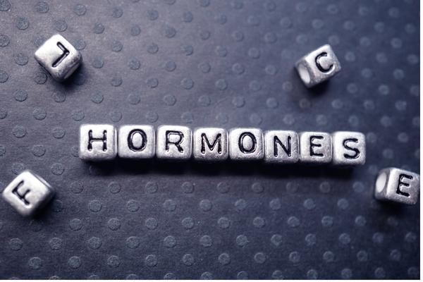 Fat Loss Hormones