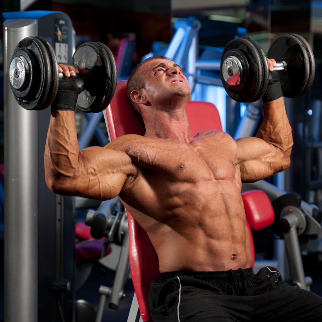 5 Ways You Can Improve Your Shoulder Workouts for Greater Gains 2