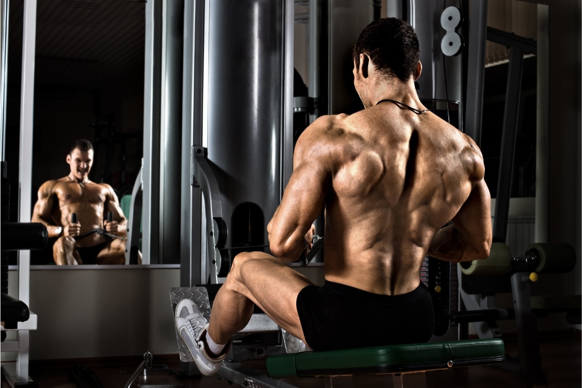 A Beginner's Guide to Bodybuilding Programs