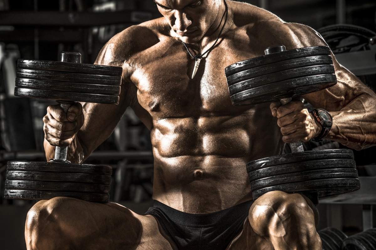 The Best Exercises for Bodybuilding